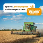 Аграрии из Башкортостана могут получить гранты на развитие крестьянского хозяйства, сельскохозяйственного потребительского кооператива. Участникам СВО также доступна поддержка по гранту «Агромотиватор».
